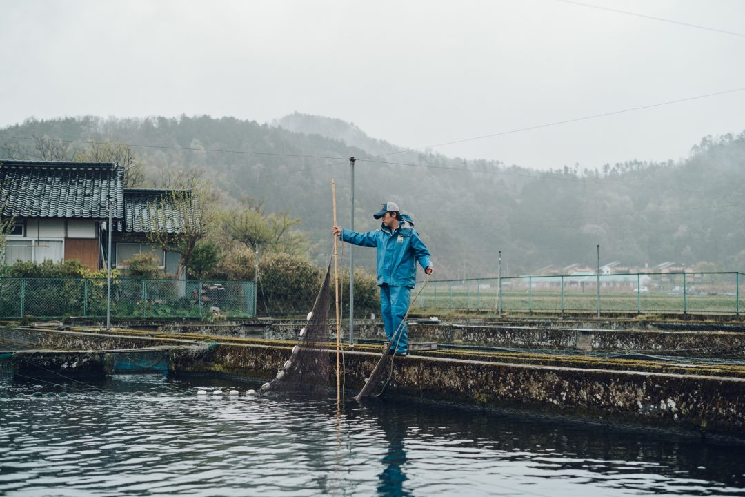 但馬の水産の写真