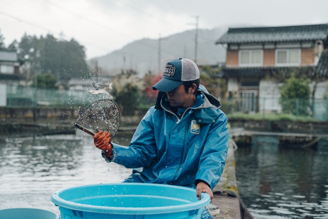 但馬の水産の写真