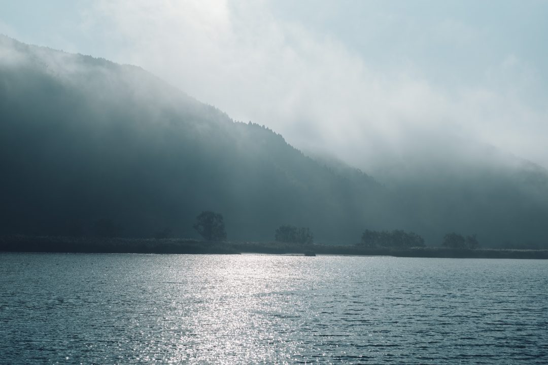 但馬の水産の写真