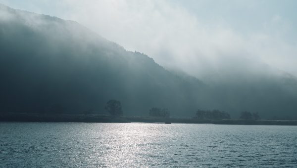 但馬の水産の写真